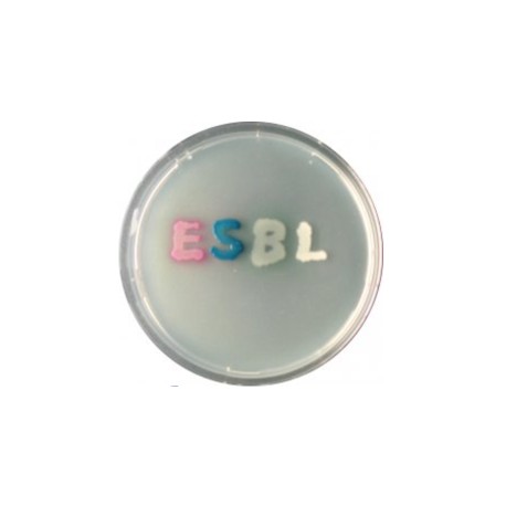 CHROMagar ESBL (25L)