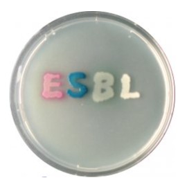 CHROMagar ESBL (5L)
