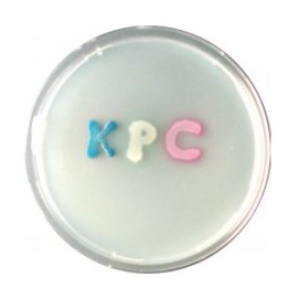 CHROMagar KPC (5L)