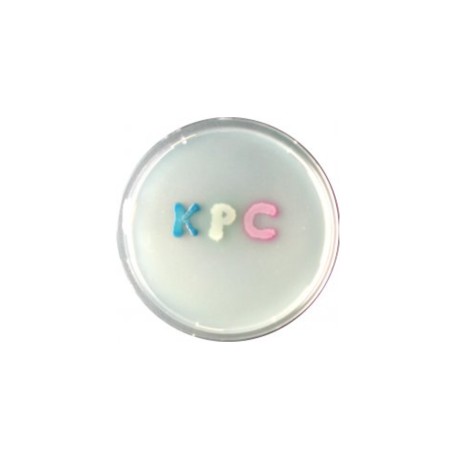 CHROMagar KPC (5L)