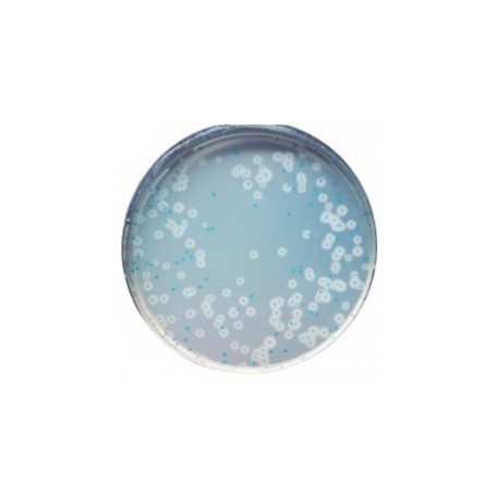 CHROMagar Listeria (5L)