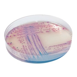 CHROMagar Salmonella (5L)