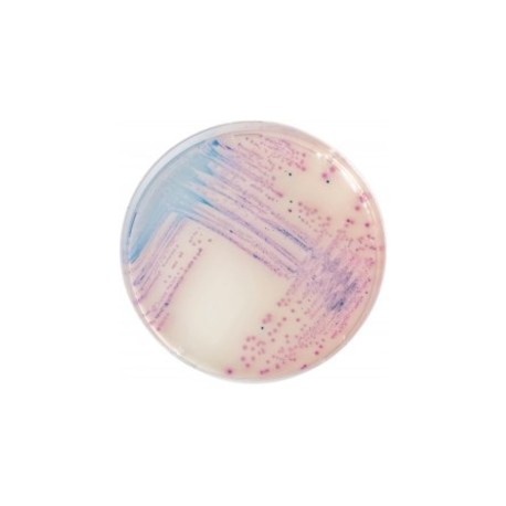 CHROMagar Salmonella (1L)