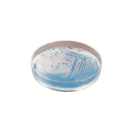 CHROMagar O157 (5L)
