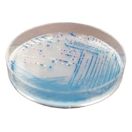 CHROMagar O157 (1L)