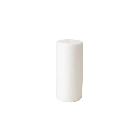 Filtro Big Blue 4.5"x10" 1...